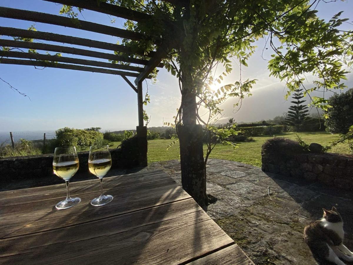 Вилла Quinta Perpetua, Casa Corvo Alto do Sul Экстерьер фото